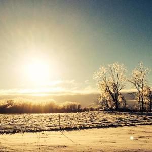 Meet your Posher, Nathan